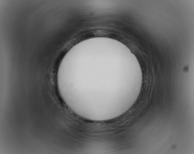 X0000101700755200807241432