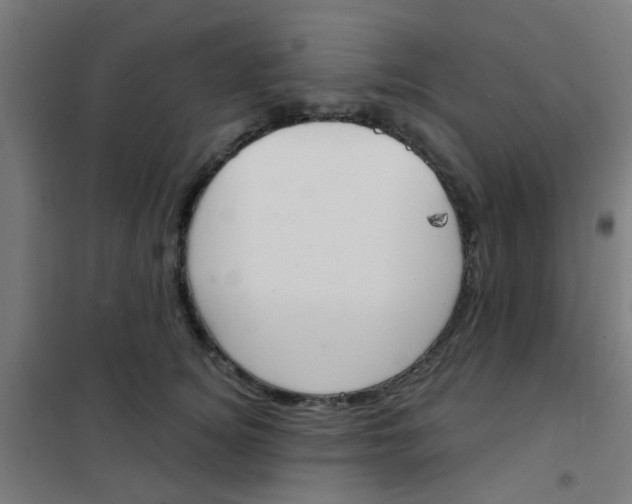 X0000101700756200807241432