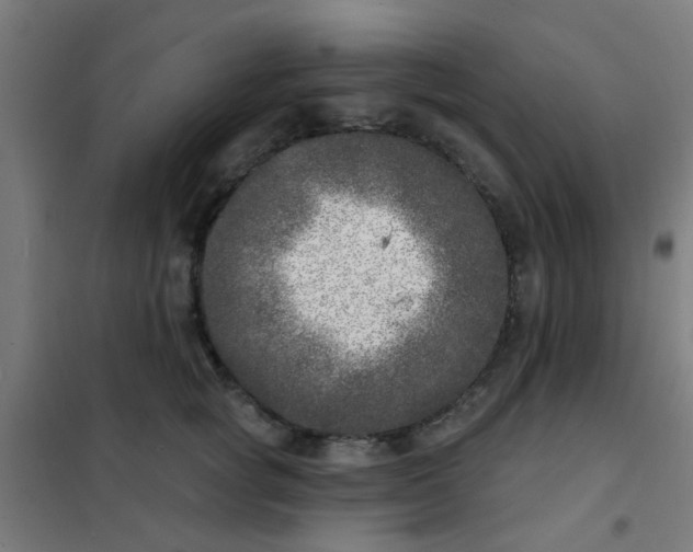 X0000101700757200807241432