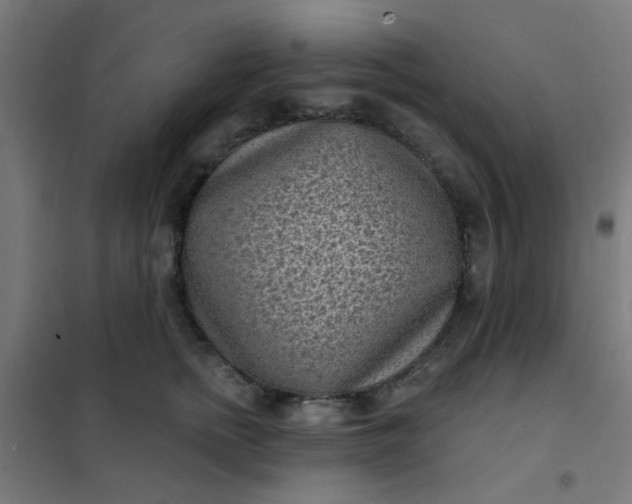 X0000101700758200807241432