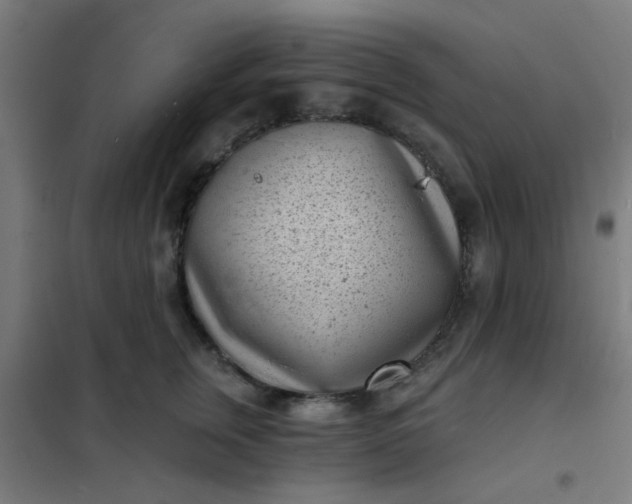 X0000101700759200807241432