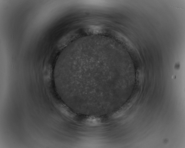 X0000101700760200807241432