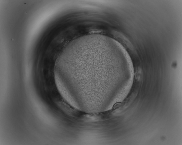 X0000101700763200807241432