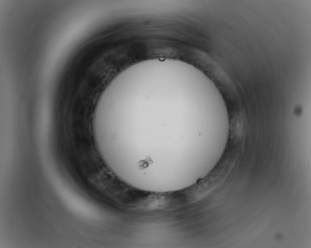 X0000101700764200807241432