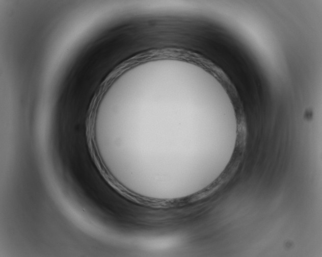 X0000101700765200807241432