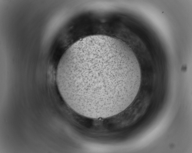 X0000101700766200807241432