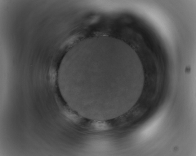 X0000101700767200807241432