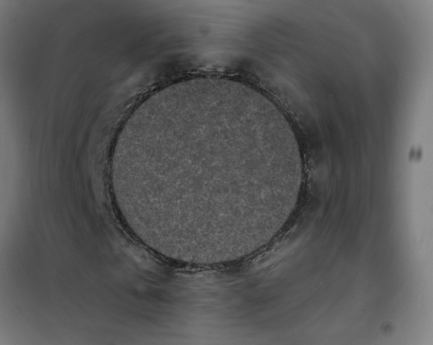 X0000101700769200807241431