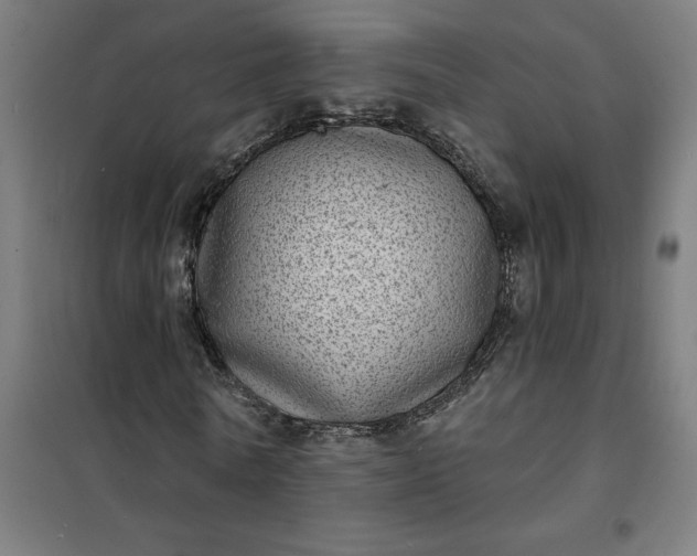 X0000101700770200807241431