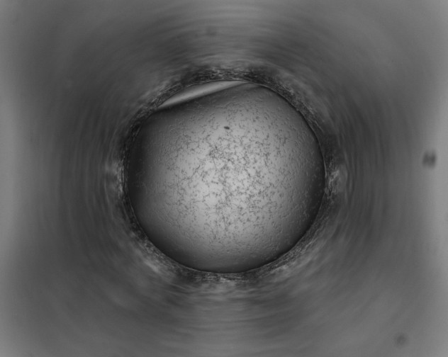 X0000101700772200807241431