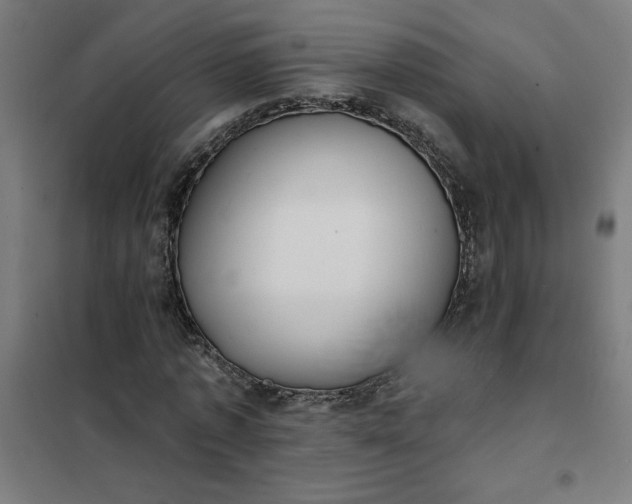 X0000101700773200807241431