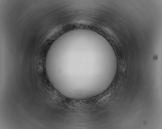 X0000101700774200807241431