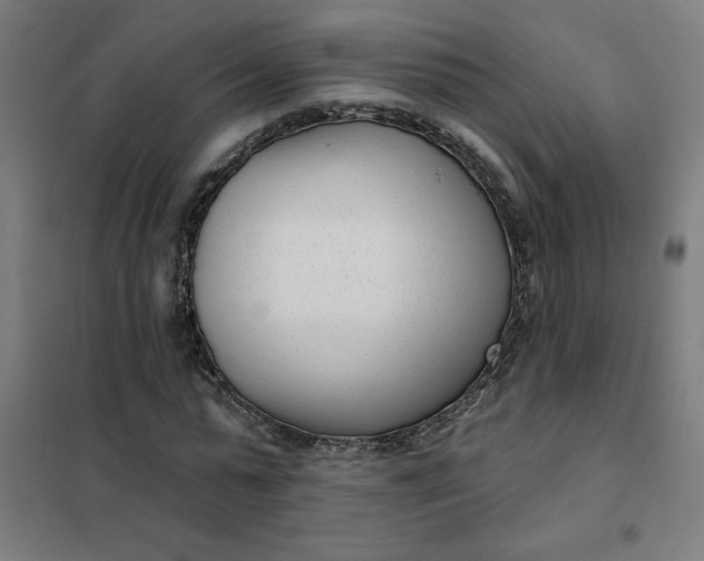 X0000101700775200807241431