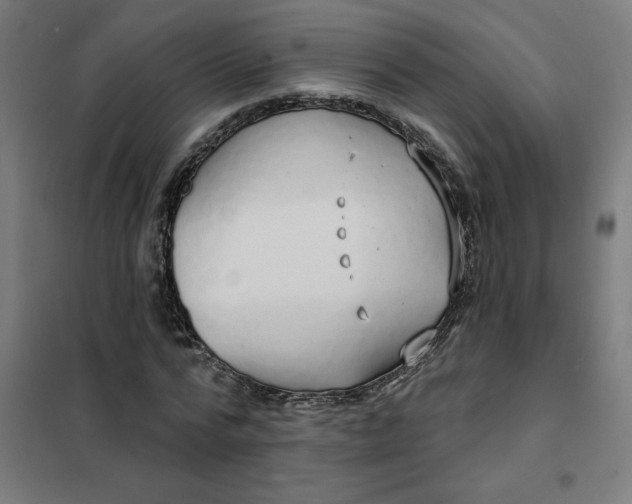 X0000101700776200807241431