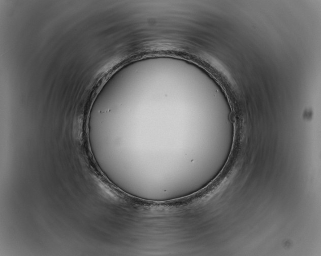 X0000101700777200807241431