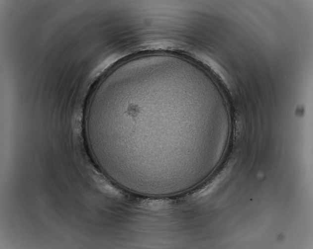 X0000101700778200807241431