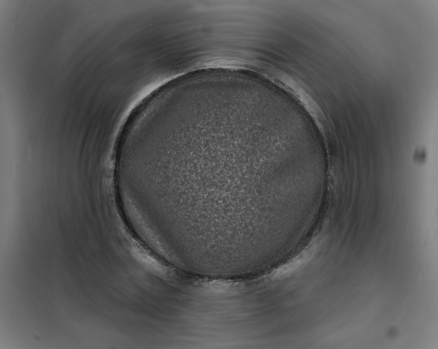 X0000101700779200807241431