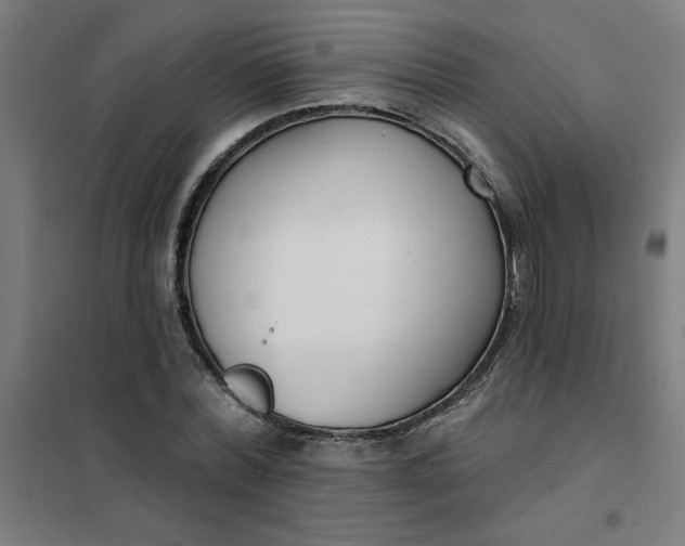 X0000101700780200807241431