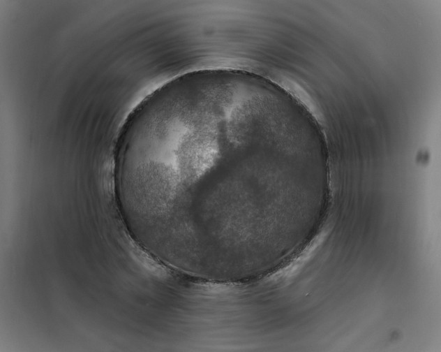 X0000101700781200807241431