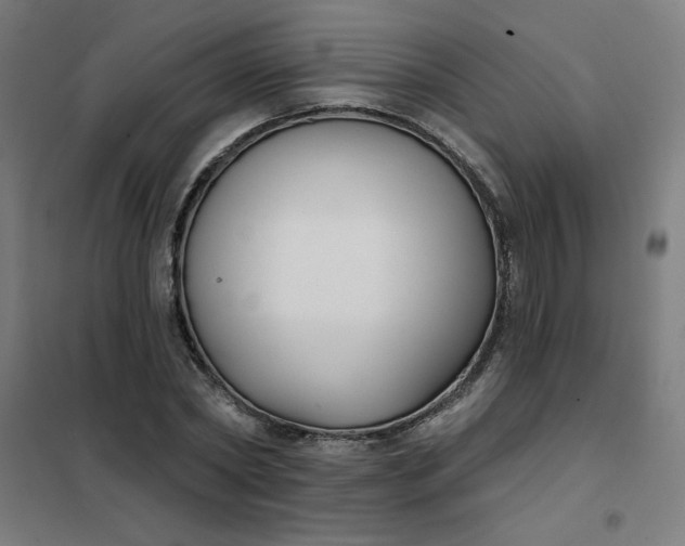 X0000101700782200807241431