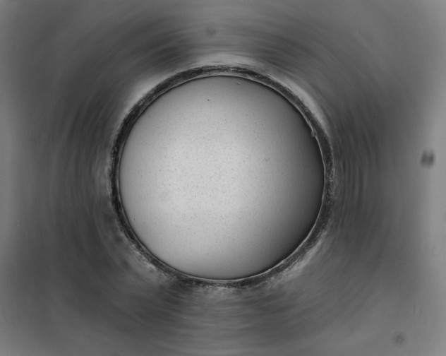 X0000101700783200807241431