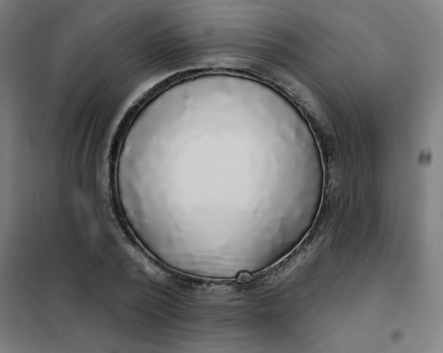 X0000101700784200807241431