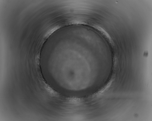 X0000101700785200807241431