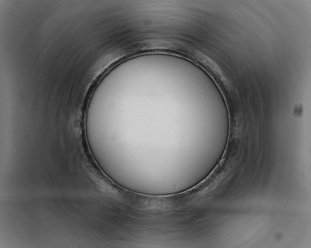 X0000101700786200807241431