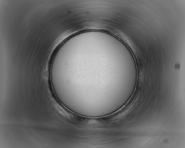 X0000101700787200807241431