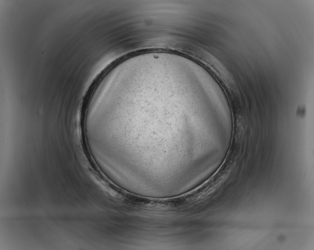 X0000101700788200807241431