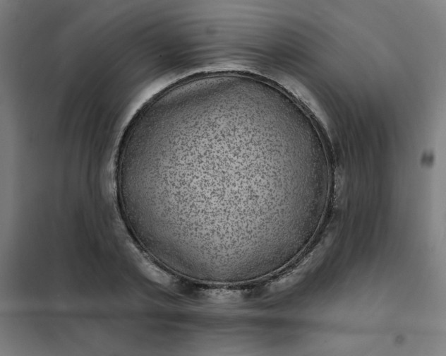 X0000101700789200807241431