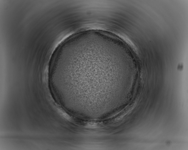 X0000101700790200807241431