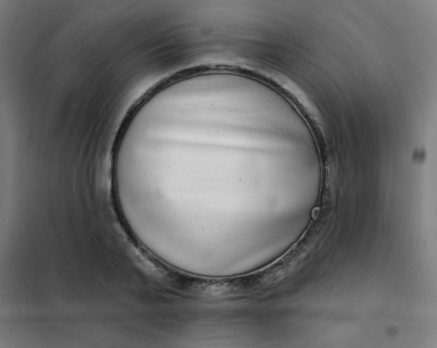 X0000101700791200807241431