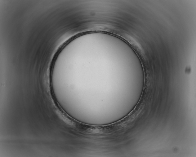 X0000101700792200807241431