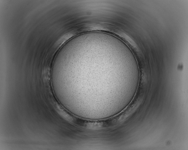 X0000101700793200807241431