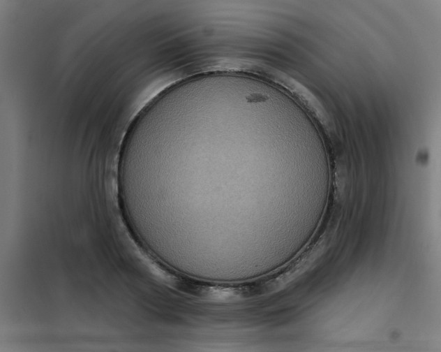 X0000101700794200807241431