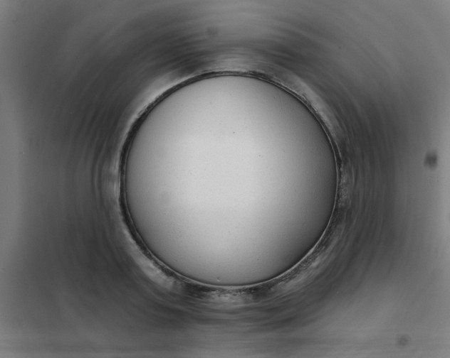 X0000101700795200807241431