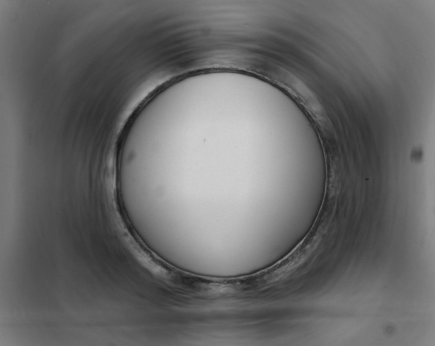 X0000101700796200807241431