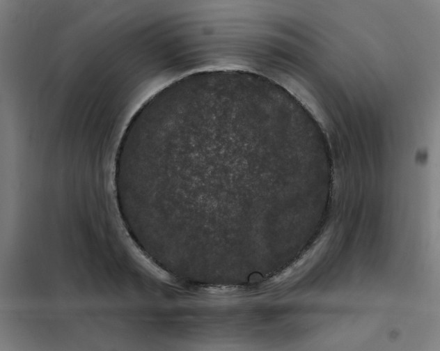 X0000101700797200807241431