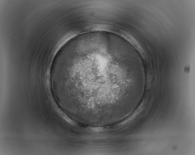 X0000101700798200807241431