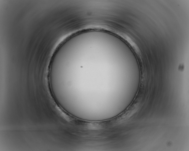 X0000101700799200807241431