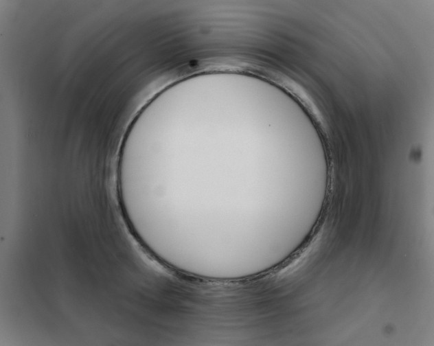 X0000101700802200807241431