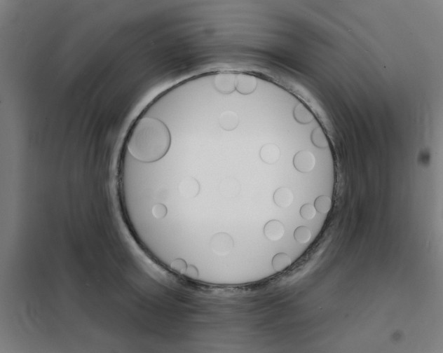 X0000101700803200807241431