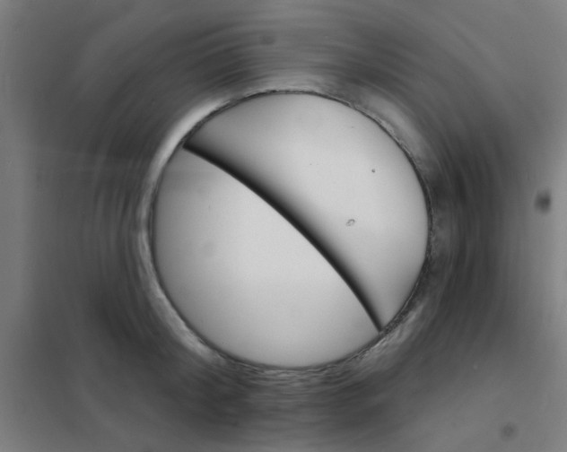 X0000101700804200807241431