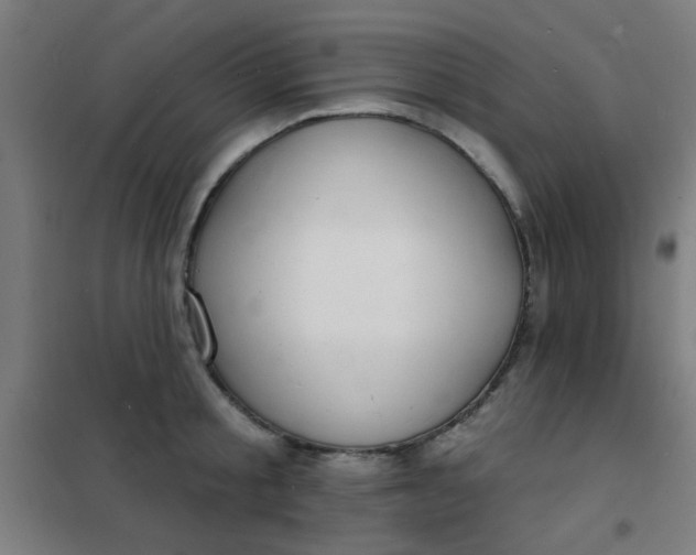 X0000101700805200807241431