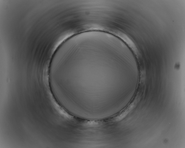 X0000101700806200807241431