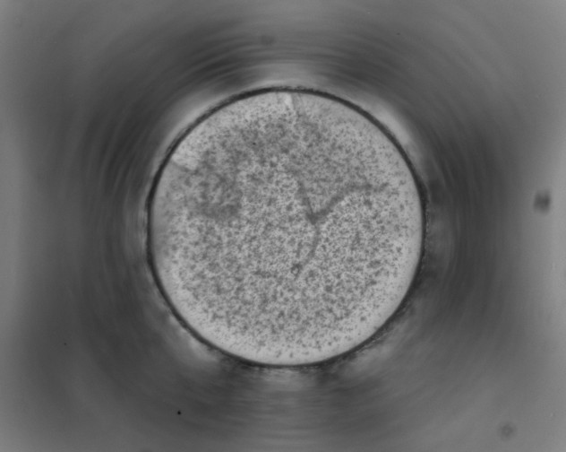 X0000101700807200807241431