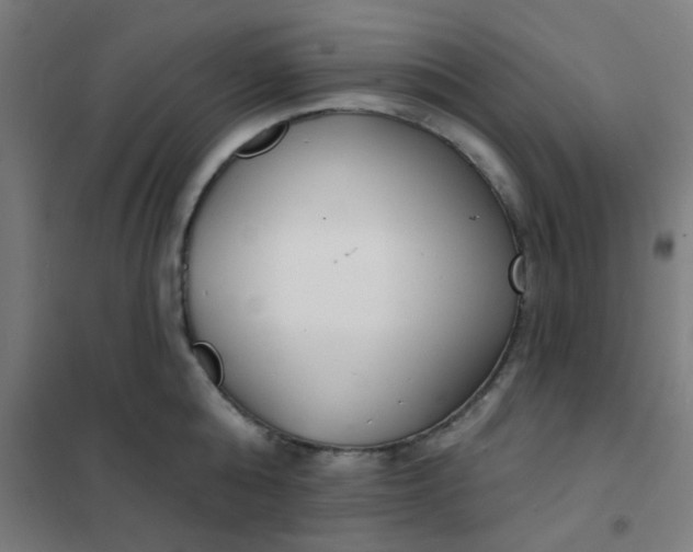 X0000101700808200807241431