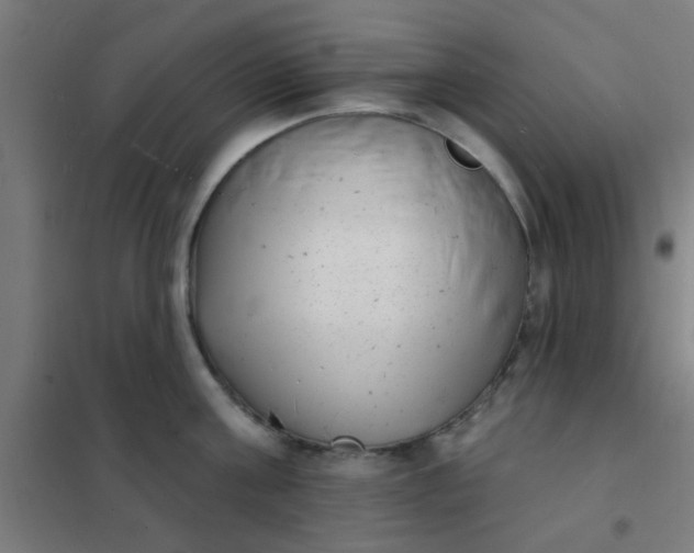 X0000101700811200807241430