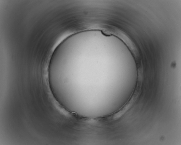 X0000101700814200807241430